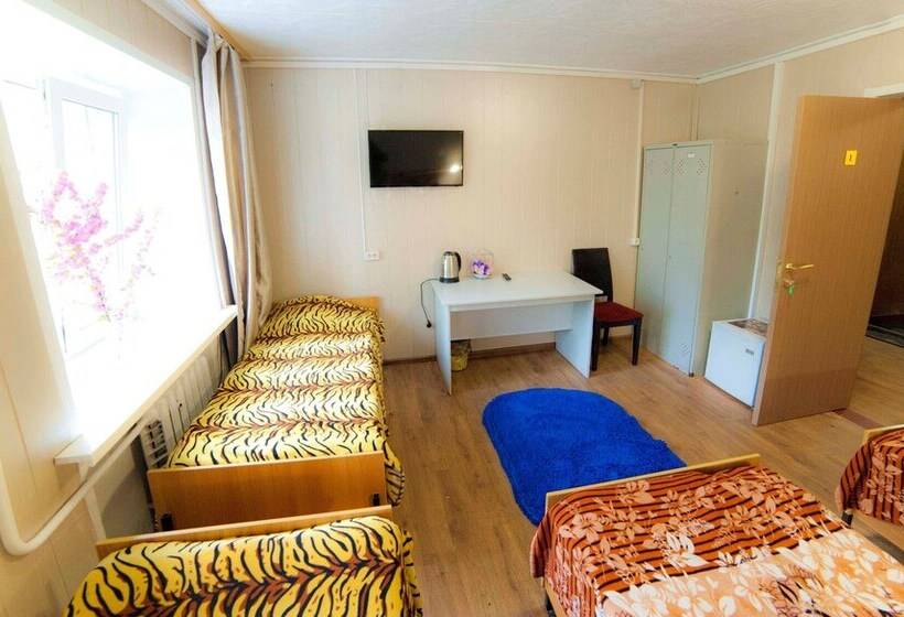 공동 객실, Hostel Sfera