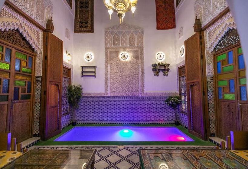 اتاق اکونومی, Dar Elinor