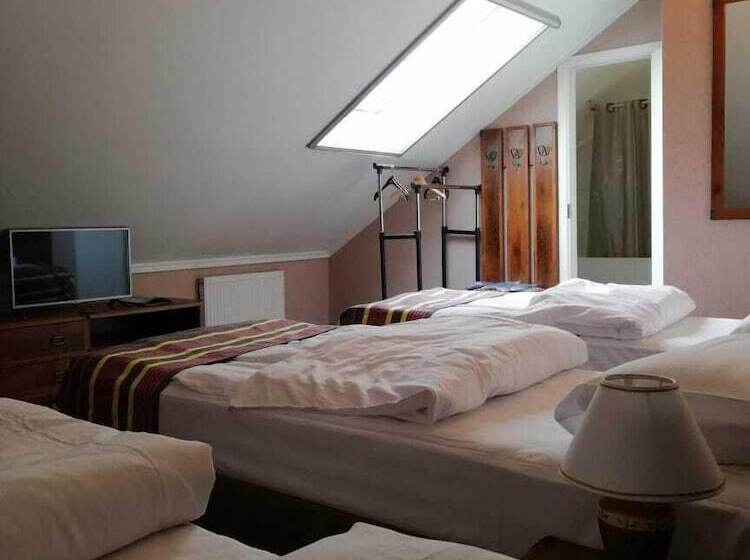 اتاق استاندارد سه نفره, Tiara Domodedovo Guest House