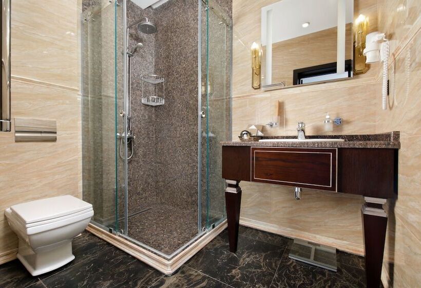 اتاق استاندارد, Park Rodnik Otel