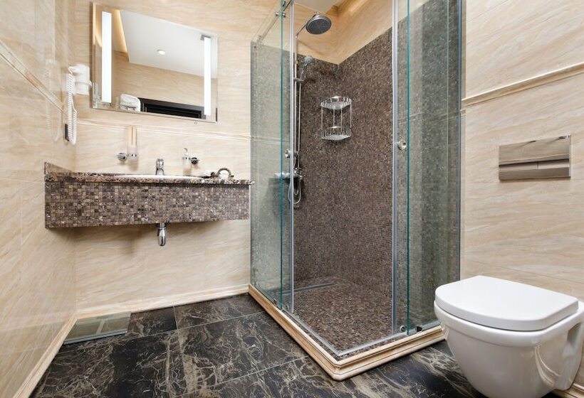 اتاق استاندارد, Park Rodnik Otel