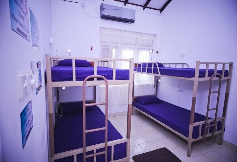 تختخواب در اتاق مشترک, Yoyo Hostel Negombo