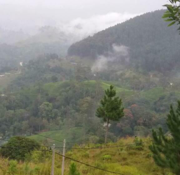 اتاق استاندارد سه نفره, Hill Forest Cottage