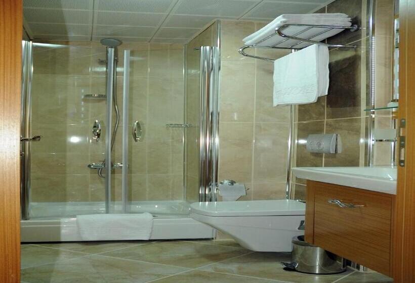 اتاق استاندارد, Alfa