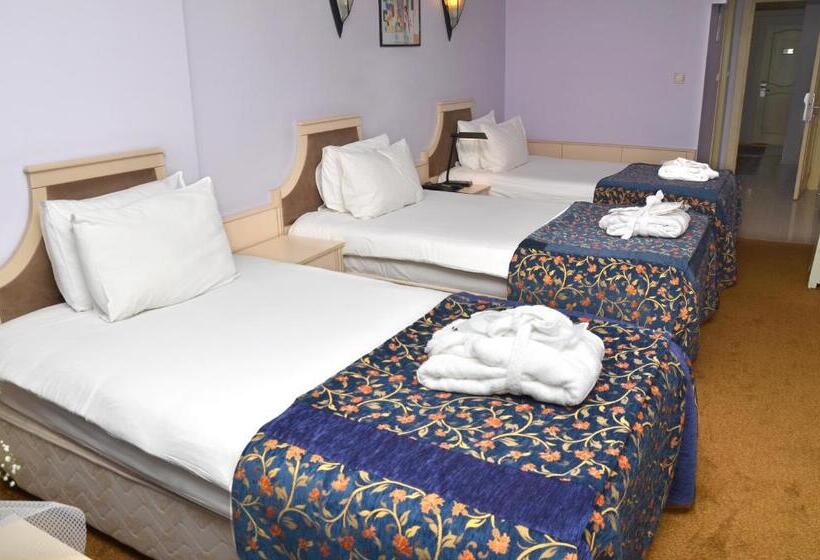 Economy Triple Room, Berr