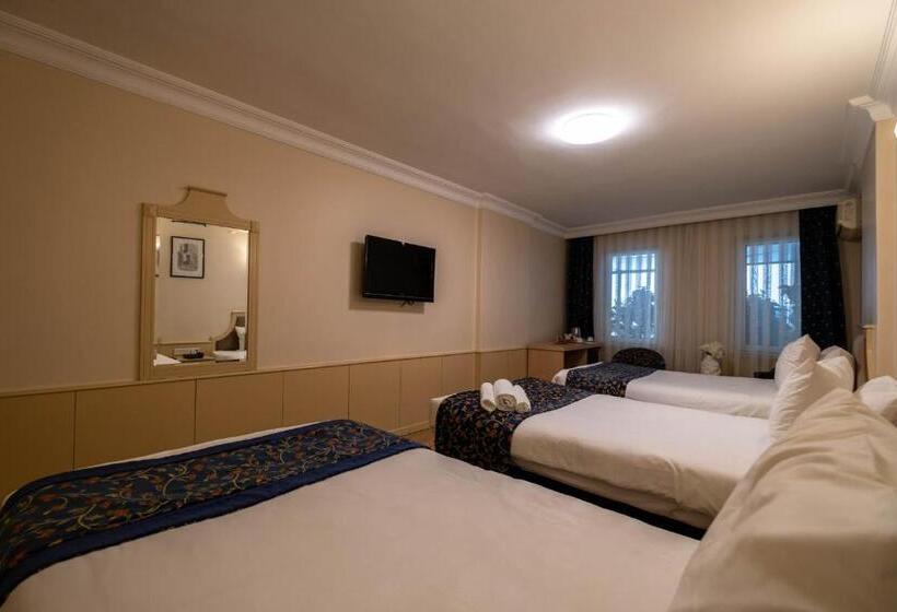 Economy Triple Room, Berr