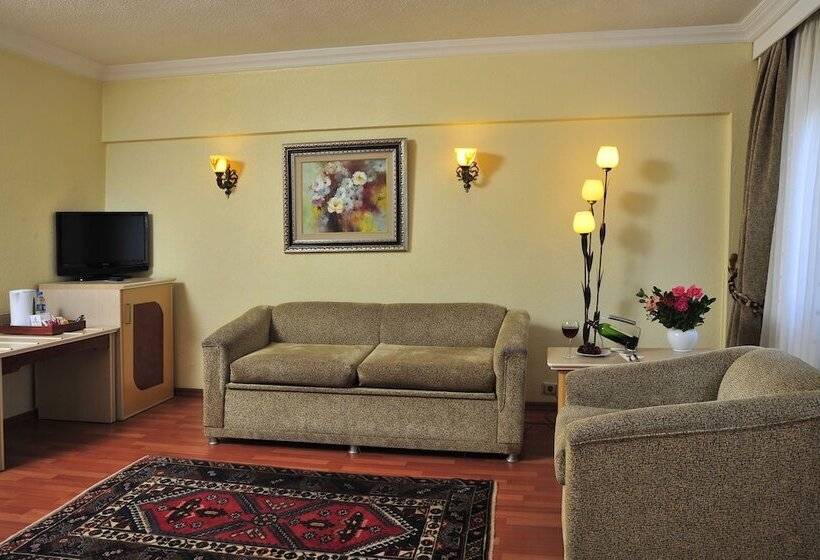 اتاق راحتی, Dinler Hotels Urgup