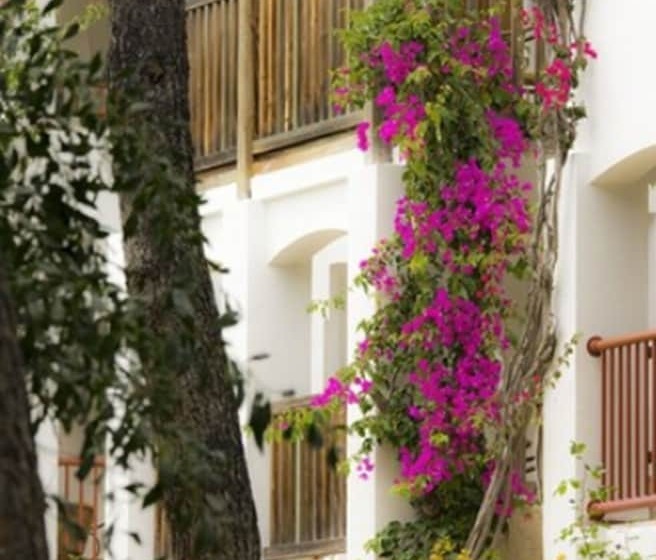 اتاق استاندارد با چشم‌انداز دریا, Hapimag Resort Sea Garden