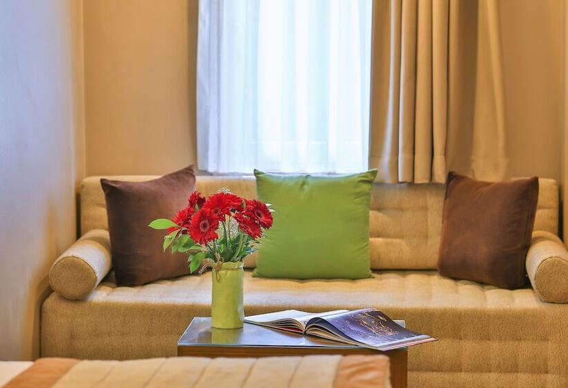 高级大房间, Ramada By Wyndham İstanbul Taksim