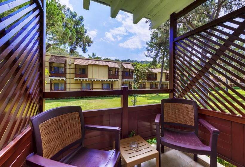 اتاق اکونومی, Robinson Camyuva   Adults Only