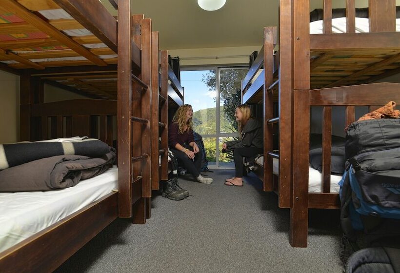 تختخواب در اتاق مشترک, Tombstone Motel, Lodge & Backpackers