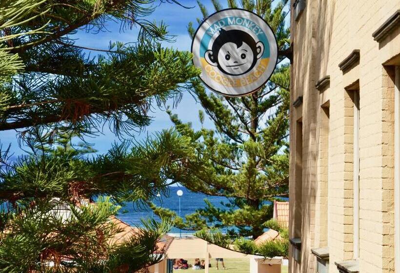 Bed in Shared Room with Shared Bathroom, Mad Monkey Hostel Coogee Beach