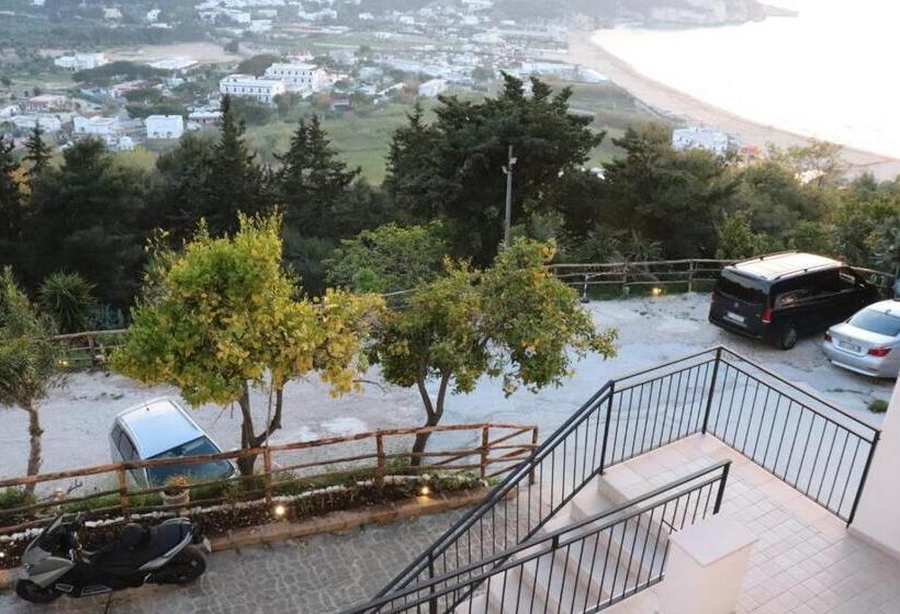 اتاق اکونومی, The Stunning B&b