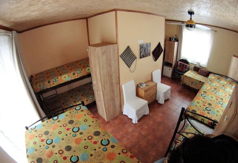 تختخواب در اتاق مشترک, Host El Greco   Hostel