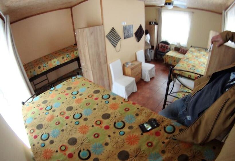 تختخواب در اتاق مشترک, Host El Greco   Hostel