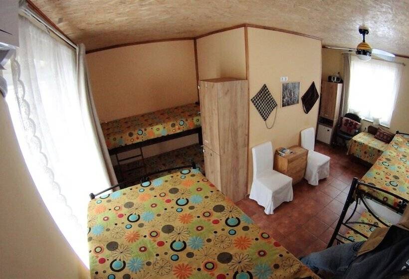 تختخواب در اتاق مشترک, Host El Greco   Hostel