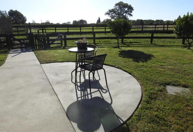 اتاق استاندارد با تخت بزرگ, Grasslands Bed & Breakfast