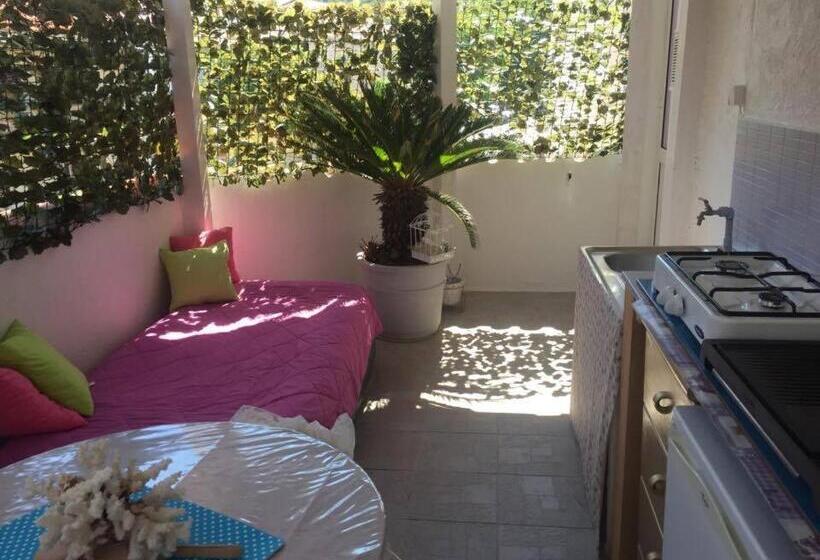 اتاق استاندارد با تراس, Villa Ria