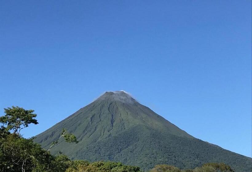 اتاق سوپریور, Arenal Monara