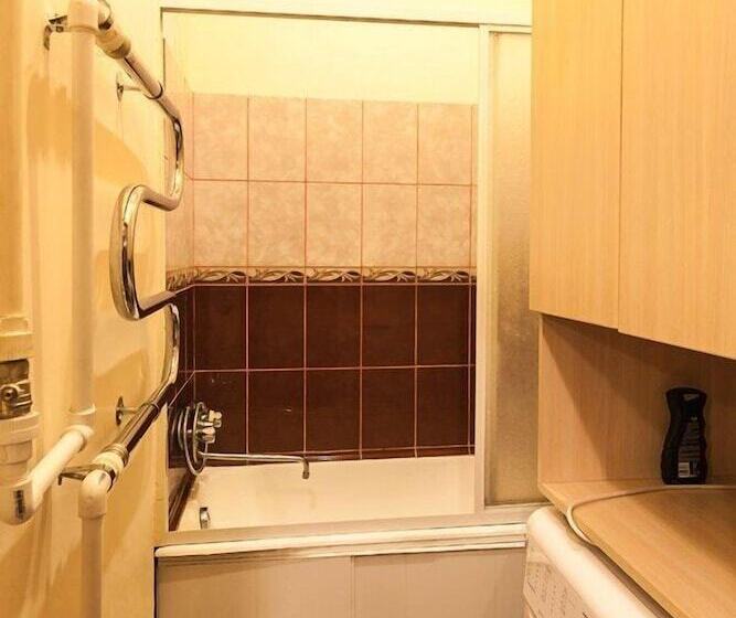 اتاق اکونومی, Old Flat Guest House On Ligovskiy