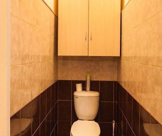 اتاق اکونومی, Old Flat Guest House On Ligovskiy