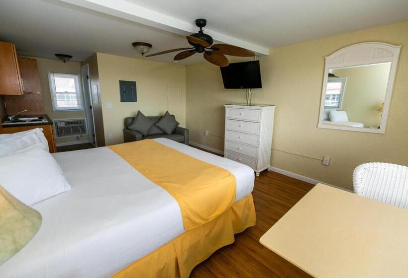 اتاق استاندارد با تخت بزرگ, American Safari Motel
