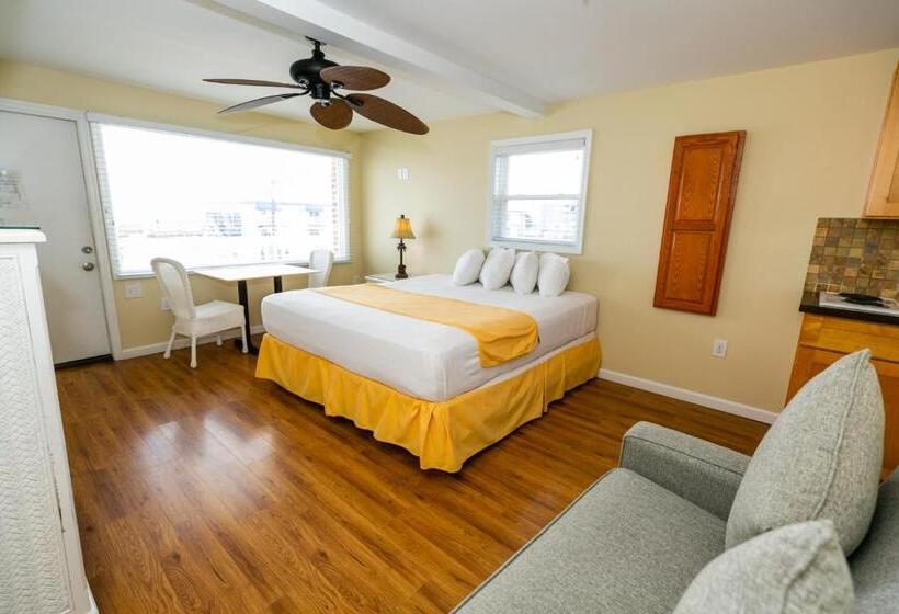 اتاق استاندارد با تخت بزرگ, American Safari Motel