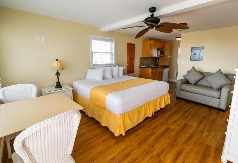 اتاق استاندارد با تخت بزرگ, American Safari Motel