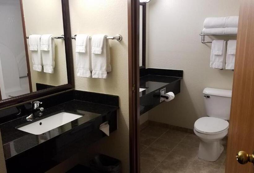 اتاق لوکس با تخت بزرگ, Americinn By Wyndham Rhinelander