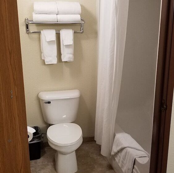 سوئیت پریمیوم, Americinn By Wyndham Rhinelander