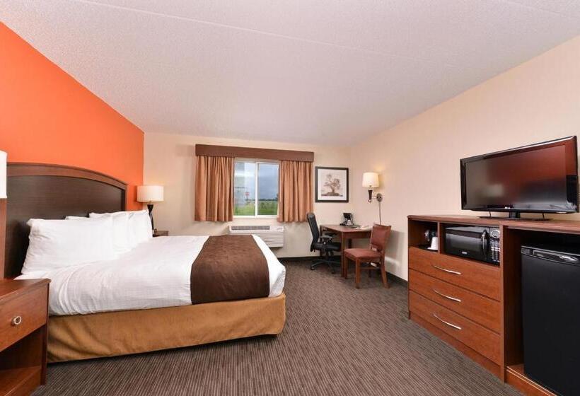 Chambre Standard Lit King Size, Americinn By Wyndham St. Cloud