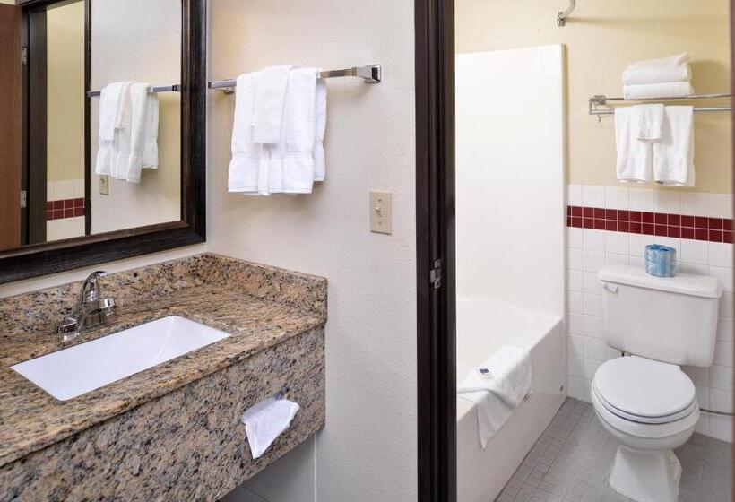 اتاق استاندارد با تخت بزرگ, Americinn By Wyndham St Cloud Mn I 94