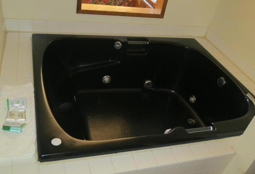 اتاق استاندارد با تخت بزرگ, Bay City Inn