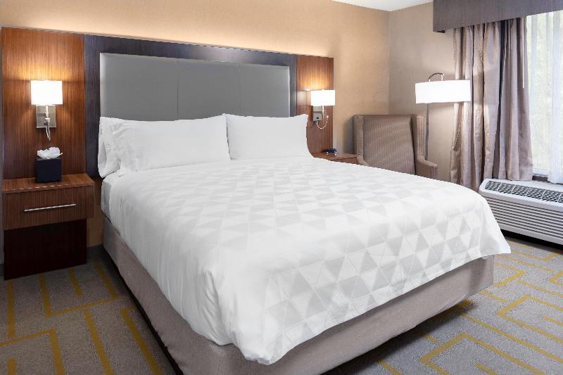 سوئیت اجرایی با تخت کینگ, Baymont By Wyndham Port Huron