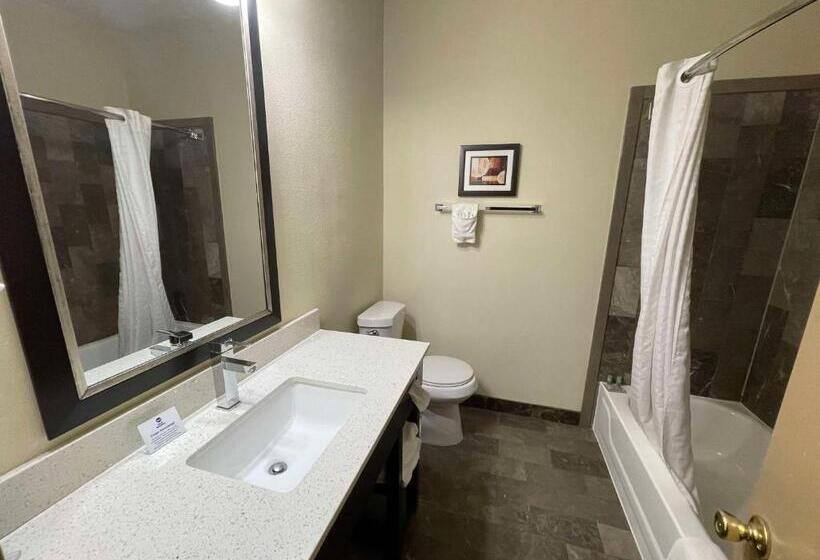 سوئیت با تخت بزرگ, Best Western Aspen