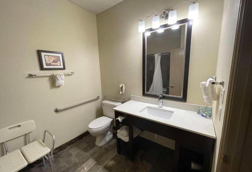 اتاق استاندارد با تخت بزرگ برای معلولان, Best Western Aspen