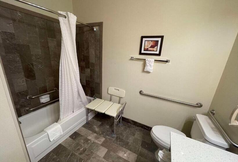 اتاق استاندارد با تخت بزرگ برای معلولان, Best Western Aspen