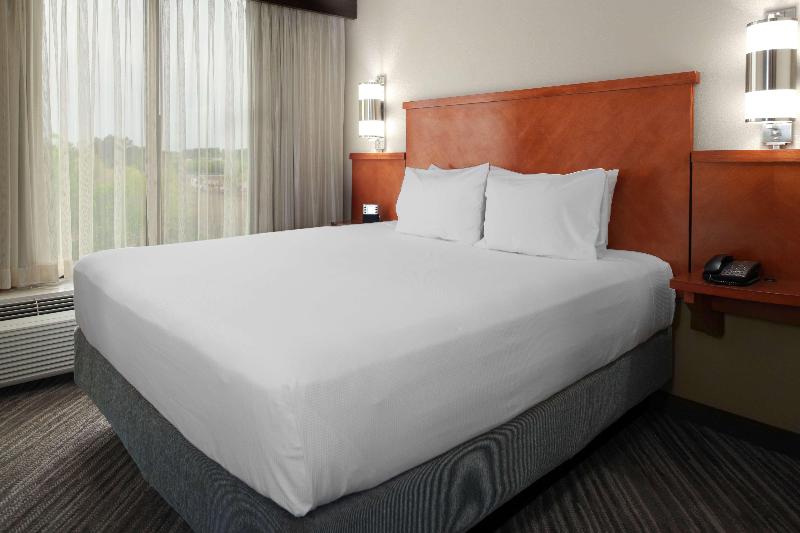 اتاق استاندارد با تخت بزرگ, Hyatt Place Albuquerque Airport