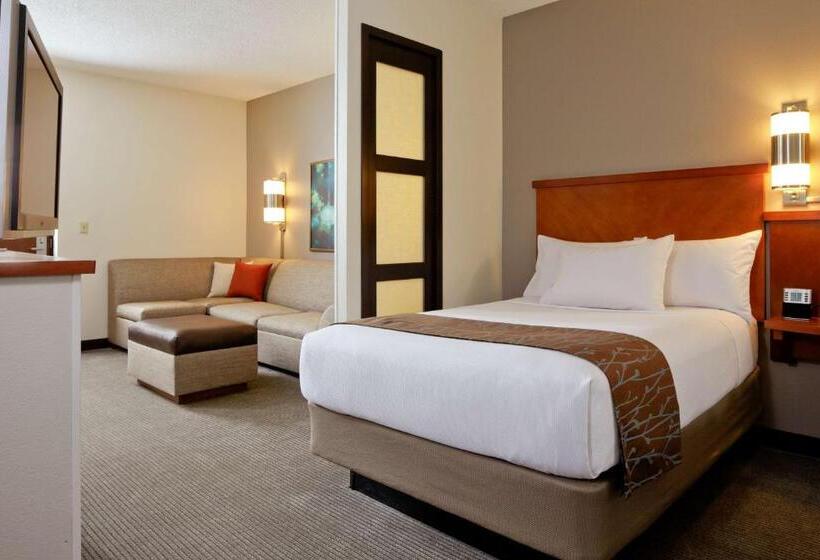 Standard Room King Bed Adapted for people with reduced mobility, Hyatt Place Scottsdale/old Town