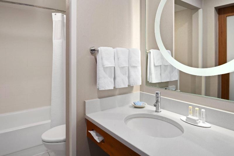استودیو استاندارد با تخت کینگ, Springhill Suites By Marriott Flagstaff