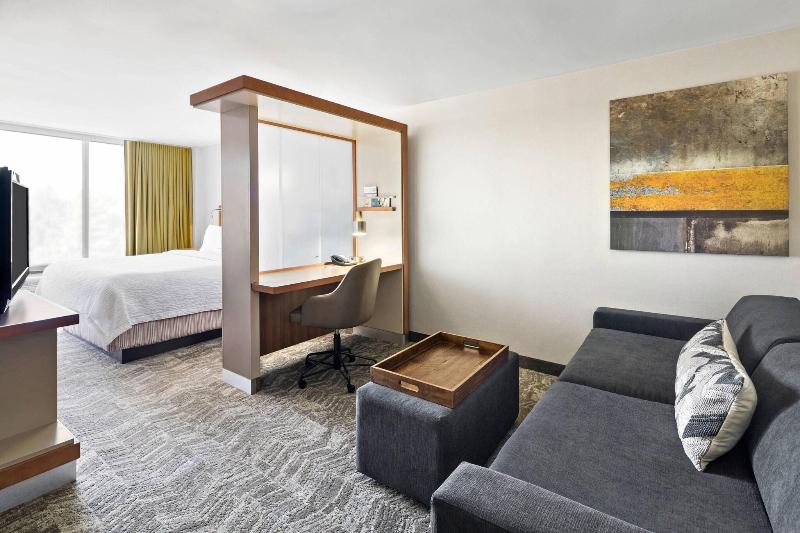 استودیو استاندارد با تخت کینگ, Springhill Suites By Marriott Flagstaff