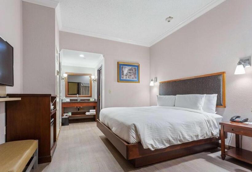 اتاق استاندارد با تخت بزرگ, Wyndham Garden Baronne Plaza New Orleans