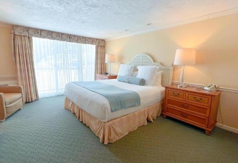 Standard Single Room, Anchor In Hotel   Hyannis, Ma