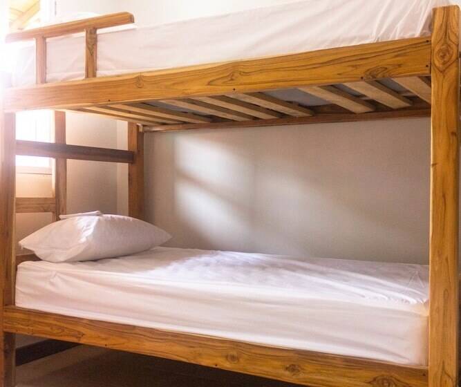 تختخواب در اتاق مشترک, Hostal Aurora, Smith Lodging