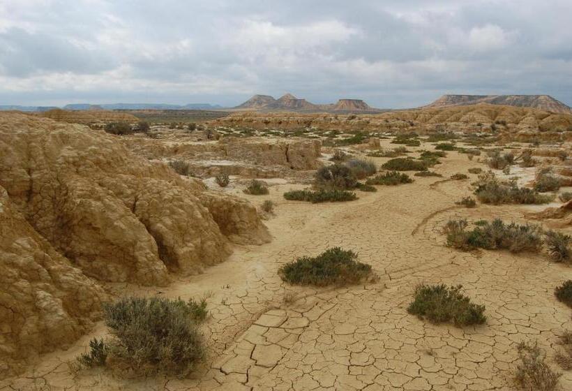 اتاق استاندارد با سرویس بهداشتی مشترک, Agroturismo  La Bardena Blanca Ii