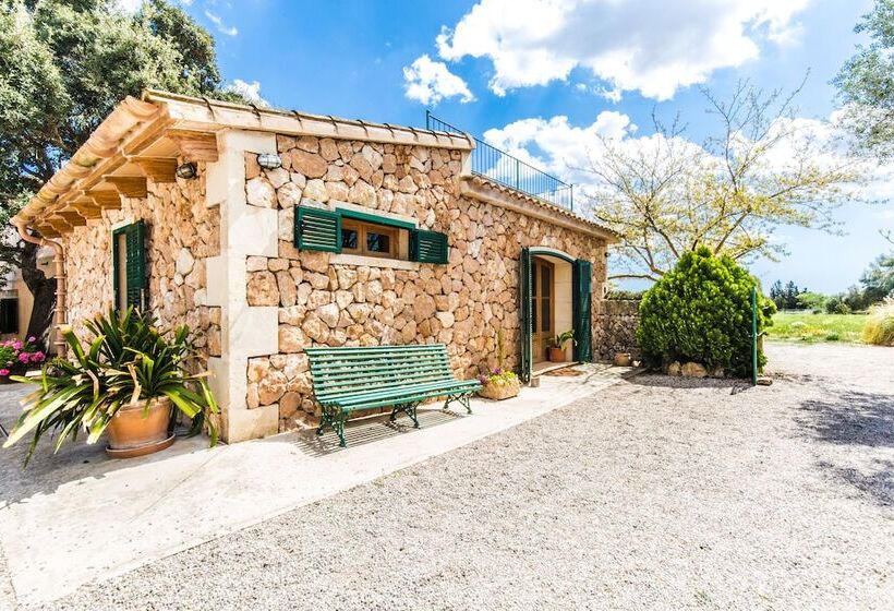استودیوی سوپریور, Finca Agroturismo Sa Cova Den Borino