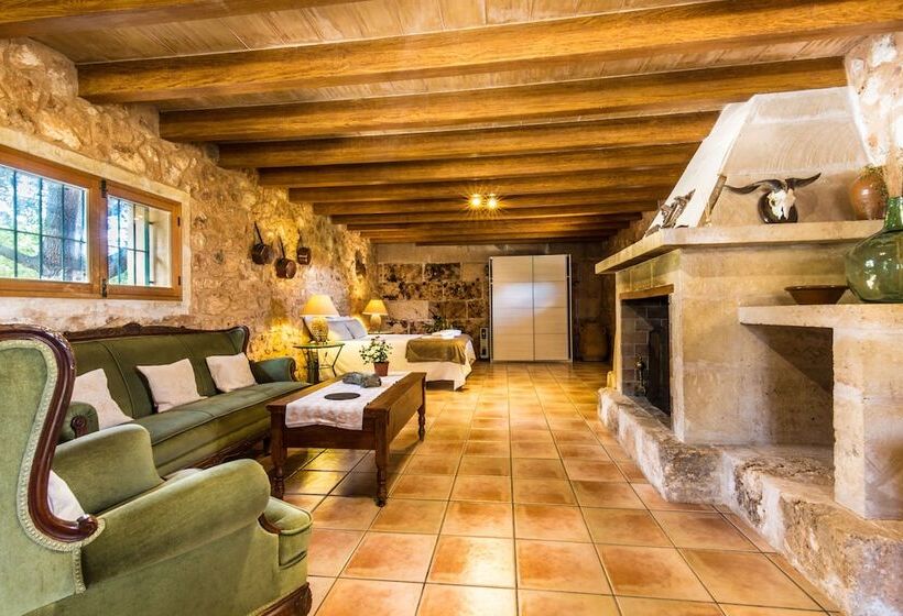 استودیوی سوپریور, Finca Agroturismo Sa Cova Den Borino