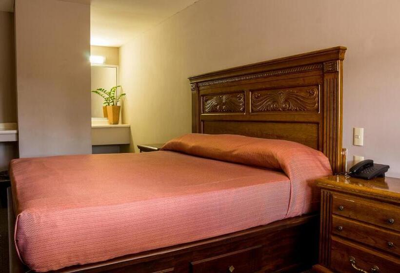 اتاق استاندارد با تخت بزرگ, Bonitto Inn® Tampico Altamira