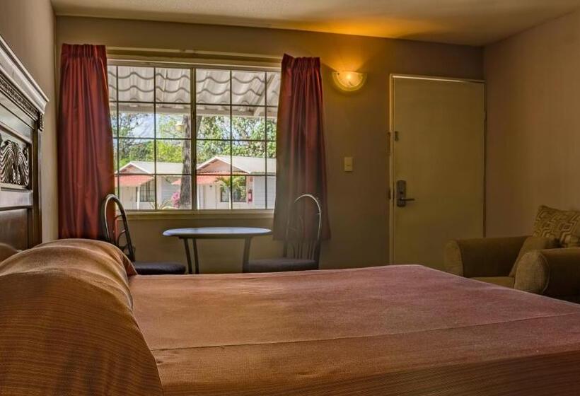 اتاق استاندارد با تخت بزرگ, Bonitto Inn® Tampico Altamira