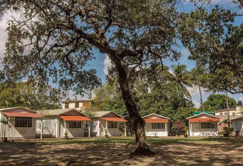 اتاق استاندارد, Bonitto Inn® Tampico Altamira